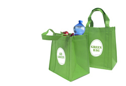 Plastic Bag Recycling: New York State's Plastic Bag Reduction